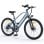 Bicicletta elettrica Hilmlesmieiral1 MileTrail M1 250 W 36 V 13 Ah PAS 25 km/h 26x1,95 LED