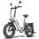 Vélo électrique FF20 Polar homologué route UE 500 W 170 km autonomie double batterie LCD