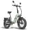 Vélo électrique FF20 Polar homologué route UE 500 W 170 km autonomie double batterie LCD
