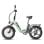 Vélo électrique FF20 Polar homologué route UE 500 W 170 km autonomie double batterie LCD