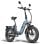 Vélo électrique FF20 Polar 500 W double batterie 170 km écran LCD route homologuée