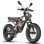 Bicicleta eléctrica 750 W motor buje batería LG 48 V 25 Ah doble suspensión doble disco 100 km autonomía