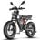 Bicicleta eléctrica 750W Motor Buje Suspensión Doble Batería 48V 25Ah Autonomía 100km