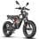 Bicicleta eléctrica 750W Motor Buje Suspensión Doble Batería 48V 25Ah Autonomía 100km