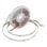 Tira LED interior SMD2835 blanca natural 3000K 60 LEDs por metro flexible corte bobina 5 m