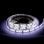 Tira LED SMD2835 5 m 120 Leds/m IP65 Flexible con Transformador 12VDC 60W Adhesiva