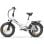 E-Bike SAMEBIKE LOTDM200-II 750W Faltbike Klappbar 48V 13Ah NFC LCD 20x4 Zoll