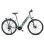 Bicicletta elettrica urbana FAFREES FM9 Motore centrale BAFANG 250W Batteria 36V 15Ah Sospensione idraulica 7 velocità