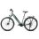 Bicicletta elettrica urbana FAFREES FM9 Motore centrale BAFANG 250W Batteria 36V 15Ah Sospensione idraulica 7 velocità