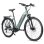 Bicicletta elettrica urbana FAFREES FM9 Motore centrale BAFANG 250W Batteria 36V 15Ah Sospensione idraulica 7 velocità