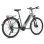 Bicicletta elettrica urbana FAFREES FM9 Motore centrale BAFANG 250W Batteria 36V 15Ah Sospensione idraulica 7 velocità