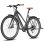 Bicicleta elétrica Fafrees F700W Motor 250W Bateria 36V 10Ah Travões Disco Hidráulicos