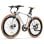 Vélo électrique Fafrees F1 moteur 250 W, batterie 36 V 10 Ah, pneus CST 700C