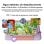 Blackview Tab 20 Kids 4gb/64gb T310 Wifi 6 Tablets,morado