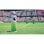 Football Manager 26 PC/MAC
