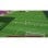 Football Manager 26 PC/MAC