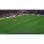 Football Manager 26 PC/MAC