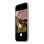 Custodia Bumper Policarbonato Bronzo per iPhone Air 6,5" Apple Compatibile