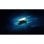 Disco Duro Kingston 7,68TB SSD U.2 NVMe PCIe 5.0 DC3000ME 14000MB/s eTLC Encriptado