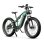 Vélo électrique 26 x 4 pouces 750 W 48 V 20 Ah avec freins à disque hydrauliques et écran LCD
