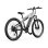 Duotts E29 Bafang 250W 48V Bicicletta Elettrica MTB con Pneumatici Maxxis 27,5 x 2,6" e Batteria Rimovibile 13,5 Ah