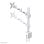 Supporto da scrivania per monitor Neomounts FPMA-D935, 10-30'', argento, regolazione manuale, VESA 75x75/100x100, portata 10 kg, clamp