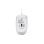 Ratón V7 MV3000UUSB Blanco USB 1600 DPI Perfil Bajo Ambidiestro Clic Silencioso