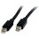 Cavo DisplayPort 2m StarTech.com MDISP2M Nero