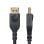 Cable Mini DisplayPort StarTech DisplayPort 1.4 3 m 8K 60Hz HBR3 enclavamiento DP oro