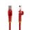 Cable de red StarTech CAT5e 0.5m rojo RJ45 UTP cobre chapado oro PoE