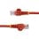 Cable de red StarTech CAT5e 0.5m rojo RJ45 UTP cobre chapado oro PoE