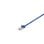 Cabo de Rede V7 V7CAT7FSTP-50C-BLU Cat7 0,5 m S/FTP RJ-45 Azul LSZH