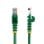 Cable Ethernet StarTech 0.5m Cat5e UTP RJ45 Verde Snagless PoE