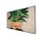 Pizarra digital Philips 75BDL4511D/00 75" 4K UHD 500 cd/m² 24/7 OPS HDMI DisplayPort