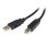 USB-Kabel StarTech.com USB2HAB2M-A Drucker 2m USB 2.0 A an B Stecker/Stecker Schwarz