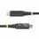 USB4 Kabel StarTech.com 0,5 m USB C zu USB C 240 W 40 Gbit/s Schwarz