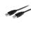 Cabo USB StarTech USB2AA1M 2 m USB 2.0 Macho a Macho Preto Alta Velocidade