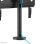 TV-Halterung Neomounts DS42-430BL14 drehbar 32-55 Zoll, bis 50 kg, Schwarz
