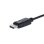 Adaptador DisplayPort StarTech DP2VGAAMM3M Ativo Áudio 0,18 m 1920x1200p Preto