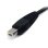 Cavo KVM DisplayPort StarTech DP4N1USB6 USB audio microfono 1,83 m nero