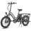 Elektrofahrrad Fafrees Ff20 Cuv 20 Zoll 250W 48V 24Ah Hydraulikbremsen Grau Metallisch