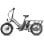 Elektrofahrrad Fafrees Ff20 Cuv 20 Zoll 250W 48V 24Ah Hydraulikbremsen Grau Metallisch