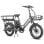 Elektrofahrrad Fafrees Ff20 Cuv 20 Zoll 250W 48V 24Ah Hydraulikbremsen Grau Metallisch