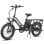 Elektrofahrrad Fafrees FF20 CUV 250W 48V 24Ah 20 Zoll Hydraulische Scheibenbremsen Schwarz