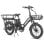 Elektrofahrrad Fafrees FF20 CUV 250W 48V 24Ah 20 Zoll Hydraulische Scheibenbremsen Schwarz