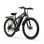 Bicicleta eléctrica Duotts C29 motor 750W batería 720Wh neumáticos 29x2,1 pulgadas negro