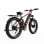 Elektrofahrrad Duotts F26 1500W Doppelmotor 20Ah 120km 48V Hydraulik Scheibenbremse Rot Schwarz