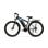 Bicicleta eléctrica Duotts C29 motor 750W doble batería autonomía 60 km neumáticos 29"