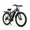 Bicicleta eléctrica Duotts C29 motor 750W doble batería autonomía 60 km neumáticos 29"