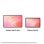Tablet Samsung Galaxy Tab S11 11" 128GB WiFi Plata
